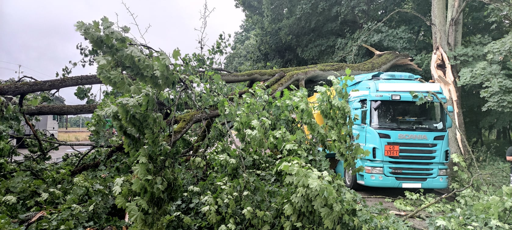 Konar drzewa spadł na samochód ciężarowy Wiecbork112.pl
